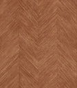 Selva - Corteza 34204