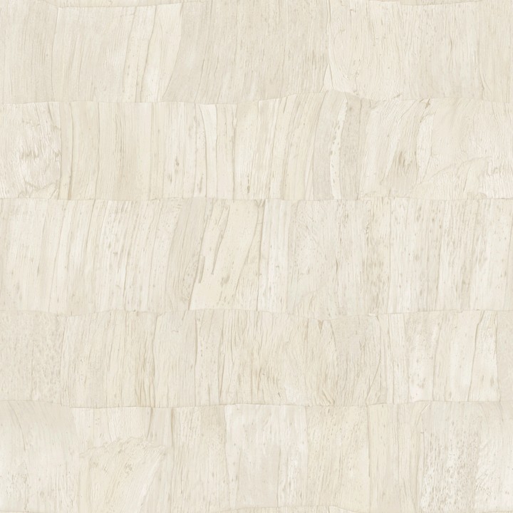 Selva - Capas 34301