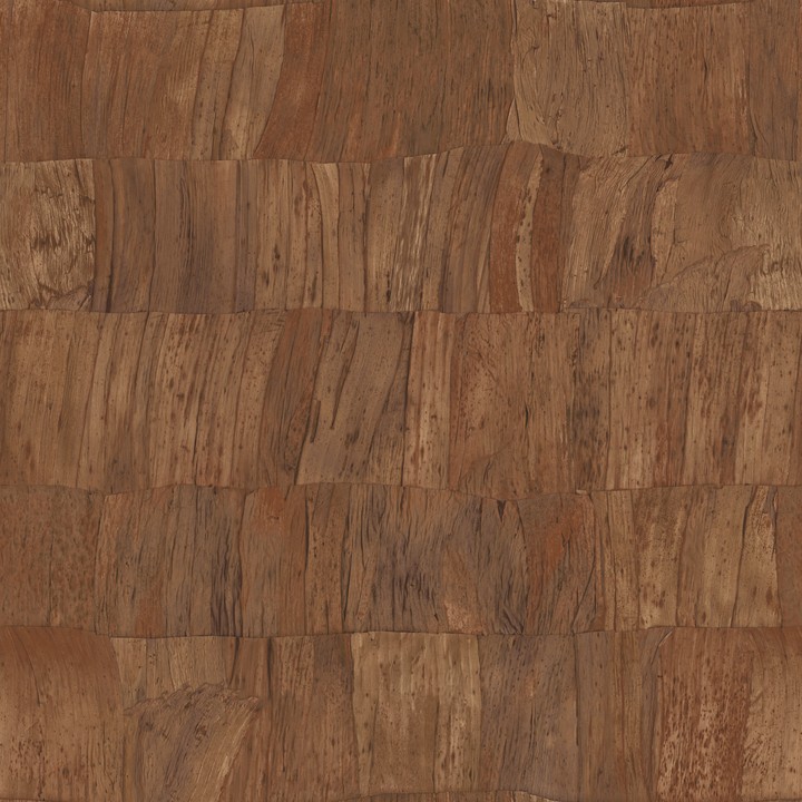 Selva - Capas 34302