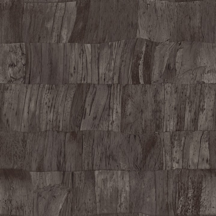 Selva - Capas 34303