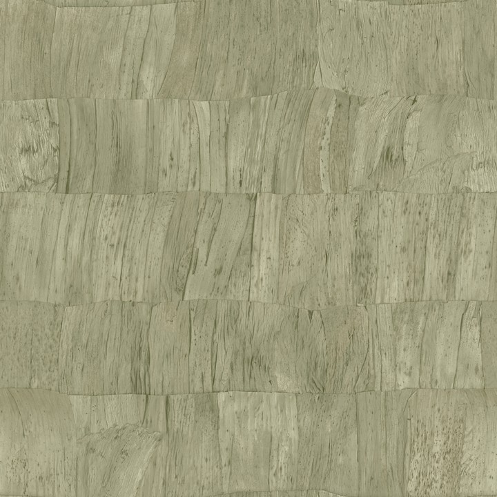 Selva - Capas 34304