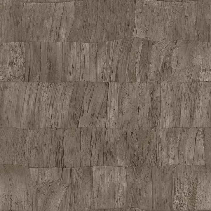 Selva - Capas 34305