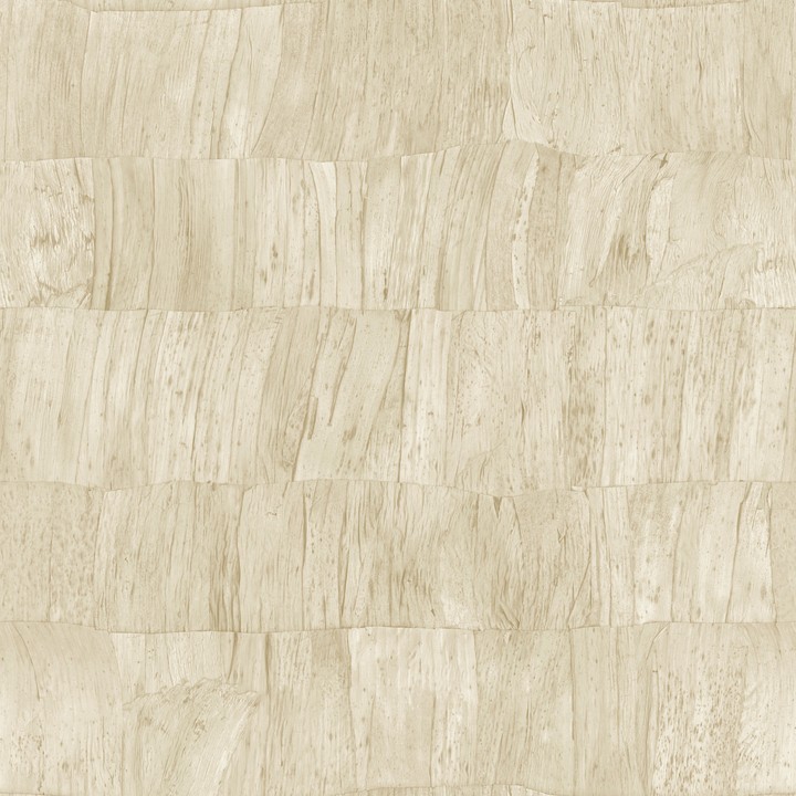 Selva - Capas 34306