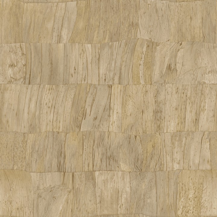 Selva - Capas 34307