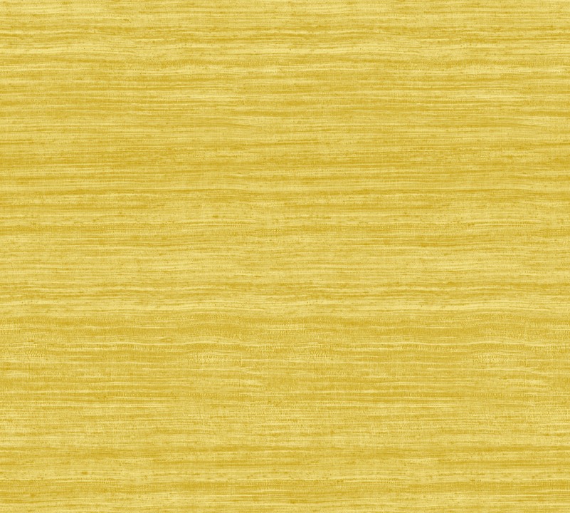Textura - Tasar 72029A