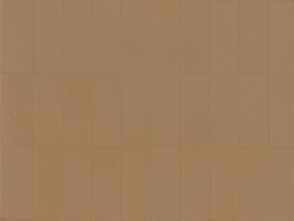 Corium - Paladin 27452