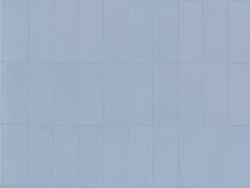 Corium - Paladin 27454