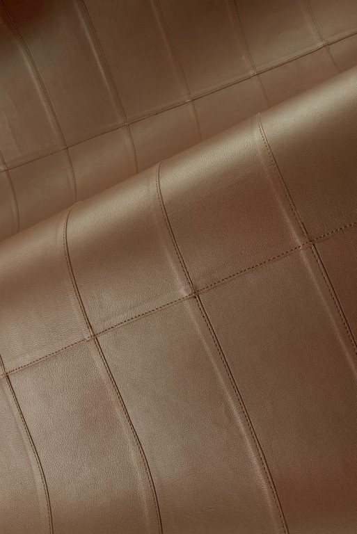 Corium - Paladin 27456